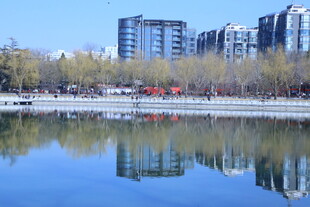 公园风景  