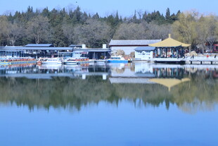 公园风景  