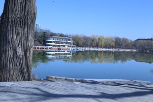 公园风景  