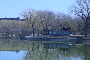 公园风景  