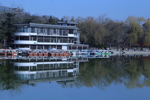 公园风景  