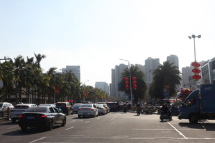 城市道路上的车辆与建筑