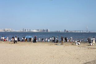 热闹的海滨沙滩场景