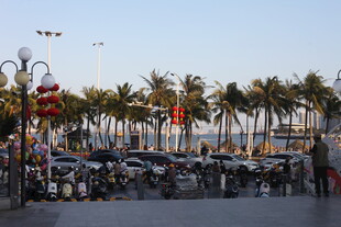 海滨街道的椰树与路灯