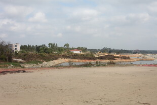 空旷沙滩与远处绿植景观