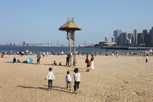 热闹海滨沙滩游玩场景