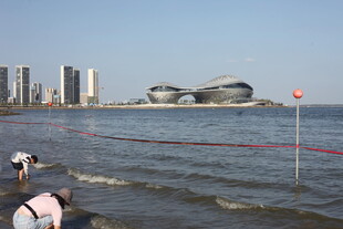 海滨城市风光与戏水人群