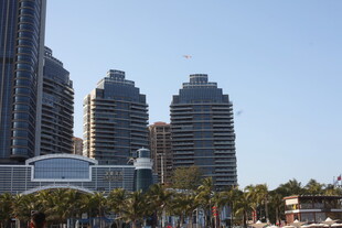 海滨城市高楼与棕榈树景观