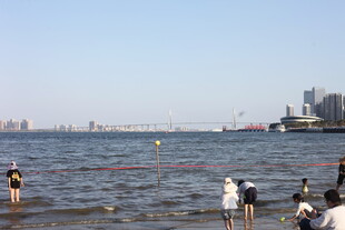 海边游玩的人群与城市远景