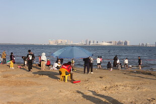 海边沙滩上的人群活动