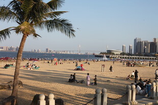 热闹的海滨沙滩场景