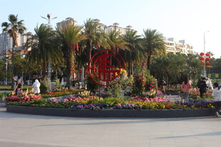 城市街头多彩花卉景观