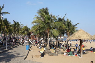 热闹的海滨沙滩休闲场景
