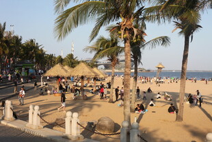 热闹的海滨沙滩休闲场景