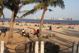 热闹的海滨沙滩休闲场景