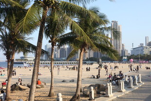 海滨椰林沙滩热闹景象