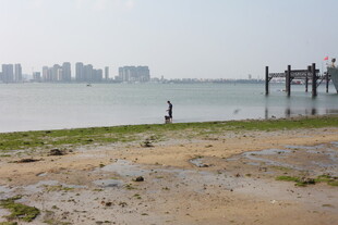 海边独行者与远处城市景观