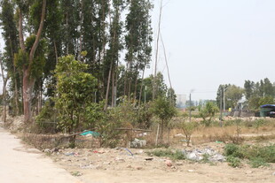 乡村路边的杂乱景象