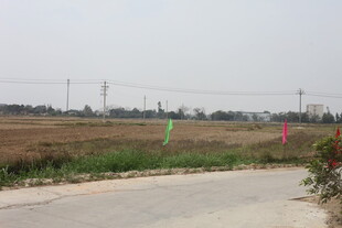 乡村田野旁的蜿蜒小路