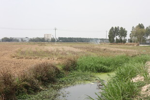 田野中的蜿蜒小河