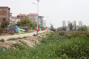 乡村路旁多彩游乐设施