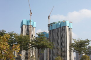 高楼建设中 绿树相伴