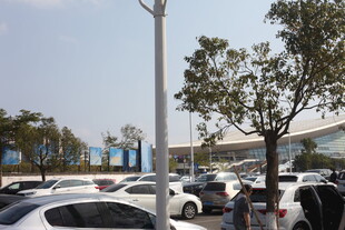 停车场内车辆与绿树景观