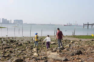 海边岩石上的亲子游玩场景