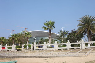 海滨现代建筑与棕榈树景观