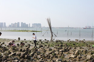 海边人立于礁石眺望城市