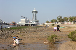海边游玩场景 人们亲近自然