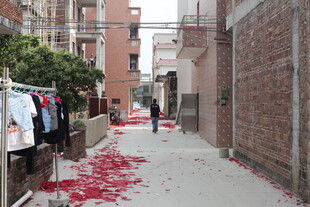 小巷中散落的红色花瓣