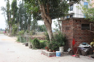 乡村路边的简易场景