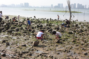 江边众人海滩赶海场景