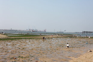 海边浅滩上的游玩场景