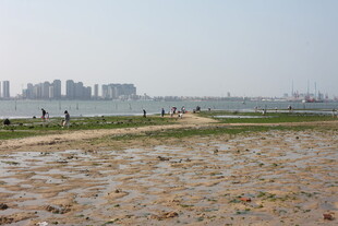 城市边的河滩休闲场景