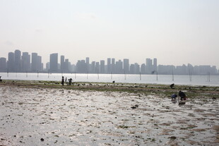 江边滩涂有人在游玩