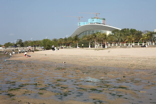 海滨沙滩上的现代建筑景观