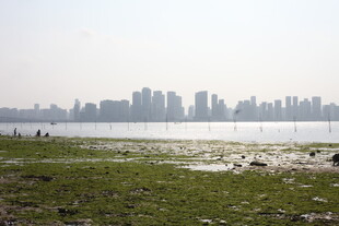 湖畔草地远眺城市天际线