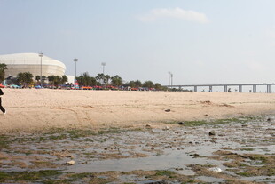 海滨沙滩与远处桥梁风景