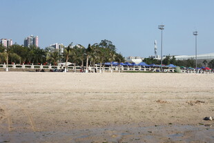 沙滩风光 远处有建筑与树木