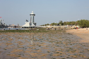 海滨灯塔下的滩涂风光