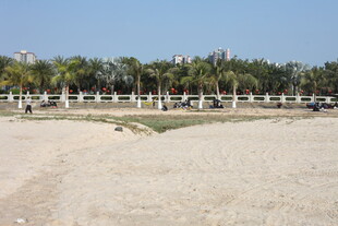 沙滩边的绿树与围栏景观