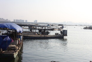 江边码头船只停靠景象