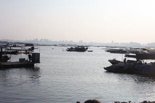 海上停泊的船只景观