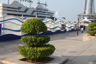 港口景观与造型绿植