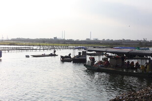 河畔码头船只停泊景象