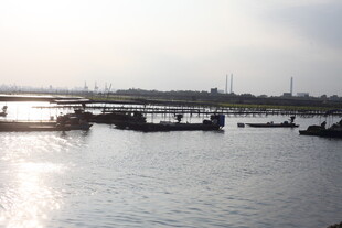 河畔停泊船只景象