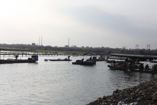 河畔船只停泊景象