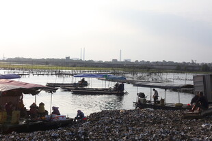 江边停靠船只与休憩人群